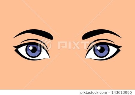 Stylized female eyes and brows on peach background Stylized female eyes and brows on peach background 143613990