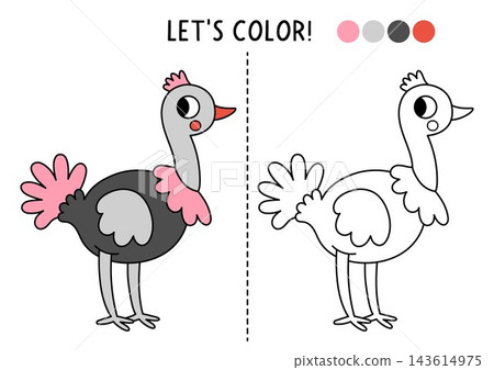 Safari animals coloring page for children with ostrich. Vector savanna outline illustration. Color book with colored example. Drawing skills printable worksheet with African savannah bird 143614975
