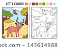 Safari animals coloring page for children with antelope. Vector outline illustration with savanna nature scene. Color book with colored example. Drawing worksheet with African landscape 143614988