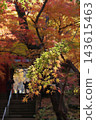 Vividly colored autumn leaves at a temple: Hondoji Temple, Matsudo, Chiba. Vividly colored autumn leaves at a temple: Hondoji Temple, Matsudo, Chiba. 143615463