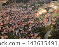 Autumn natural scenery: Colorful autumn leaves and fallen maple leaves scattered throughout the temple grounds. Autumn natural scenery: Colorful autumn leaves and fallen maple leaves scattered throughout the temple grounds. 143615491