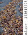Autumn natural scenery: Colorful autumn leaves and fallen maple leaves scattered throughout the temple grounds. Autumn natural scenery: Colorful autumn leaves and fallen maple leaves scattered throughout the temple grounds. 143615496