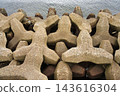 Tetrapod  143616304