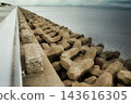 Landscape with tetrapod 143616305
