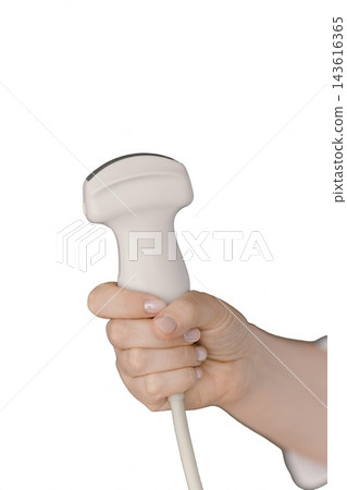 Hand holds a white abdominal ultrasound probe used for pregnancy scans Hand holds a white abdominal ultrasound probe used for pregnancy scans 143616365