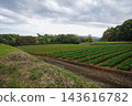 A landscape of fields on the slopes of the Shibusawa Hills 143616782