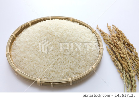 米飯和穗飯 米飯和穗飯 143617123