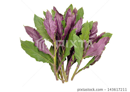 A transparent PNG image of a bunch of Handama (Suizenji greens) viewed from directly above. 143617211
