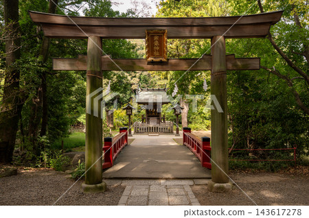 埼玉縣埼玉市通往宗像神社的朱紅色橋樑和木製鳥居。 埼玉縣埼玉市通往宗像神社的朱紅色橋樑和木製鳥居。 143617278