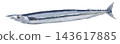 A watercolor painting of a Pacific saury. 143617885
