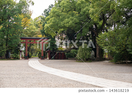 武藏一之宮冰川神社鬱鬱蔥蔥的庭院和朱紅色的鳥居 143618219