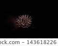 Fireworks that draw a beautiful parabola 143618226