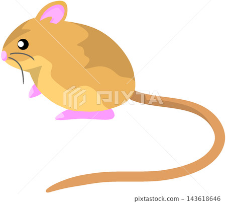 Giant gerbil Giant gerbil 143618646