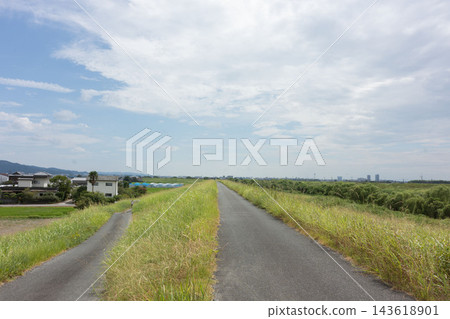 寧靜的郊區景色,天空遼闊,河岸綠樹成蔭。 寧靜的郊區景色,天空遼闊,河岸綠樹成蔭。 143618901