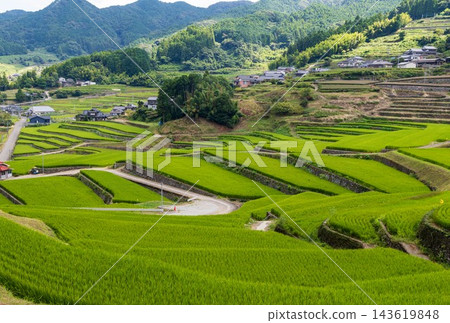 鬼木梯田，風景優美，是日本百大梯田之一。 143619848