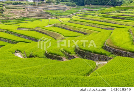鬼木梯田,風景優美,是日本百大梯田之一。 鬼木梯田,風景優美,是日本百大梯田之一。 143619849