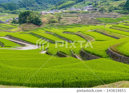 鬼木梯田,風景優美,是日本百大梯田之一。 鬼木梯田,風景優美,是日本百大梯田之一。 143619851