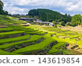 鬼木梯田，風景優美，是日本百大梯田之一。 143619854