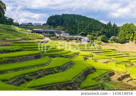 鬼木梯田，風景優美，是日本百大梯田之一。 143619854