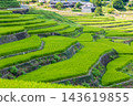 Oniki Rice Terraces, a scenic spot and one of Japan's Top 100 Rice Terraces. 143619855