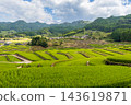 Oniki Rice Terraces, a scenic spot and one of Japan's Top 100 Rice Terraces. 143619871