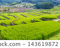 Oniki Rice Terraces, a scenic spot and one of Japan's Top 100 Rice Terraces. 143619872