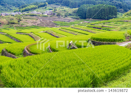 鬼木梯田,風景優美,是日本百大梯田之一。 鬼木梯田,風景優美,是日本百大梯田之一。 143619872