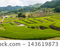Oniki Rice Terraces, a scenic spot and one of Japan's Top 100 Rice Terraces. 143619873