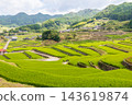 Oniki Rice Terraces, a scenic spot and one of Japan's Top 100 Rice Terraces. 143619874