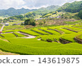 Oniki Rice Terraces, a scenic spot and one of Japan's Top 100 Rice Terraces. 143619875