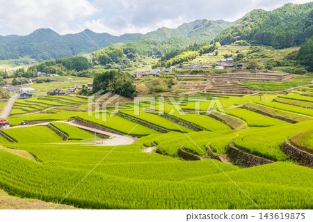 鬼木梯田,風景優美,是日本百大梯田之一。 鬼木梯田,風景優美,是日本百大梯田之一。 143619875