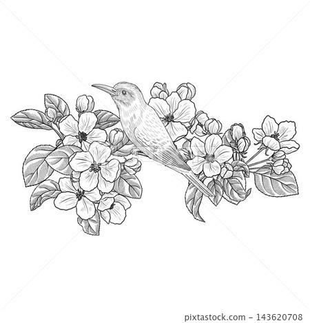 vector drawing fruit flowers vector drawing fruit flowers 143620708