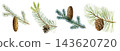 watercolor drawing branch of spruce 143620720