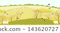 vector drawing spring landscapes with blue tit birds,sheep, flowers, sun and trees, hand drawn illustration 143620727