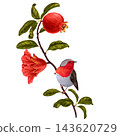drawing tree branch with red pomegranate, robin bird, flowers and green leaves isolated at white background, hand drawn illustration 143620729