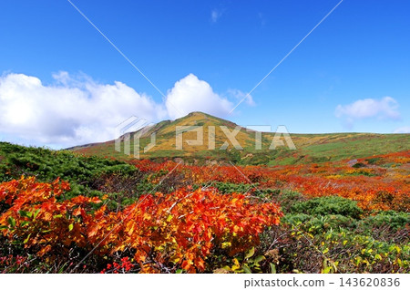 Mt. Kurikoma秋葉 Mt. Kurikoma秋葉 143620836