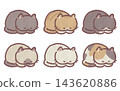Set of 6 cat poses (cat sitting in a loaf position) 143620886