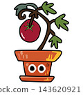 Cute Potted Tomato Plant Illustration 143620921