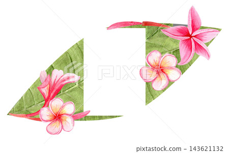 Pink plumeria flowers and green leaves watercolor tropical frame with an open rectangular space. Hand painted exotic floral design perfect for invitations, cards, stationery and summer decorations Pink plumeria flowers and green leaves watercolor tropical frame with an open rectangular space. Hand painted exotic floral design perfect for invitations, cards, stationery and summer decorations 143621132