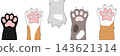 Colorful cat paw border with fluffy legs and soft pink pads on a clean background. Charming pet illustration for greeting cards stickers and playful branding materials. 143621314