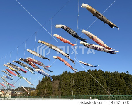 鯉魚stream在藍藍的天空中游泳 143621588