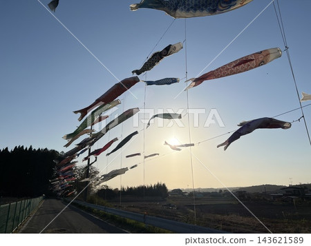鯉魚幡在天上游 鯉魚幡在天上游 143621589