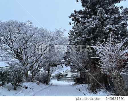 積雪覆蓋的冬季 積雪覆蓋的冬季 143621591