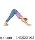 Illustration of downward facing dog yoga pose 143622108