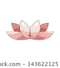 Illustration of pink lotus flower 143622125