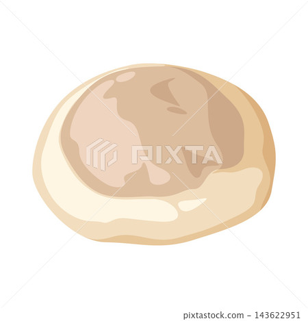 Illustration of Meat Dumpling Illustration of Meat Dumpling 143622951