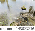 公園裡有一個大池塘（有流水）。 143623216