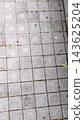 Acorns have fallen onto moss-covered tiles and an autumn path. 143625204