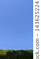 Clear blue sky and grassland; a vertical landscape with copy space. 143625224