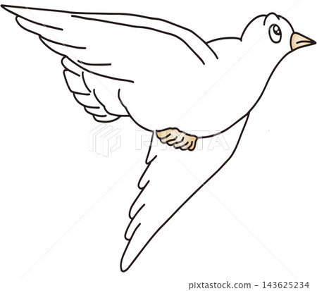 手繪動物插畫☆白鴿 手繪動物插畫☆白鴿 143625234
